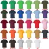 t shirt color chart - Garten Of Banban Store